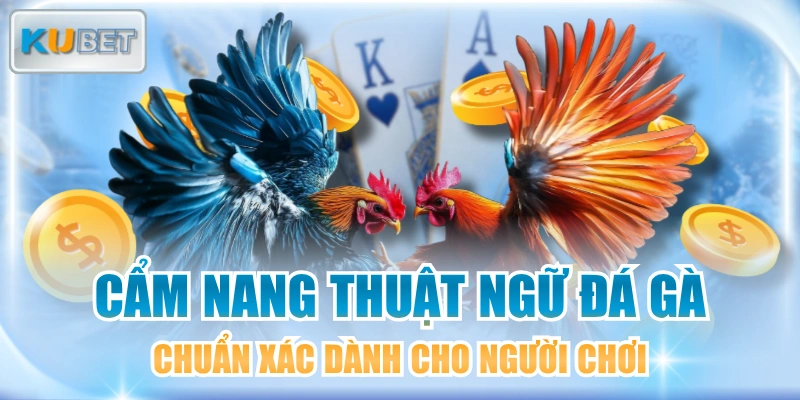 Cẩm Nang Thuật Ngữ Đá Gà Chuẩn Xác Dành Cho Người Chơi