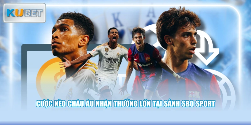 Cược kèo châu Âu nhận thưởng lớn tại sảnh SBO Sport
