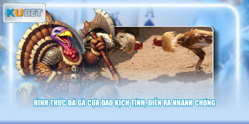 Hình thức đá gà cựa dao kịch tính, diễn ra nhanh chóng